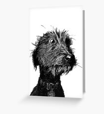 Dog Greeting Card