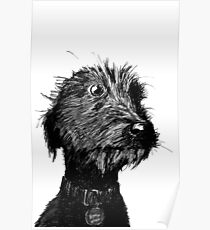 Hund Poster