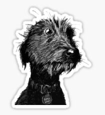 Dog Sticker