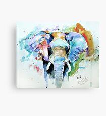 Splash of colour Canvas Print