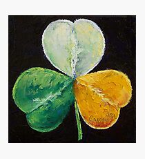 Irish Shamrock Photographic Print