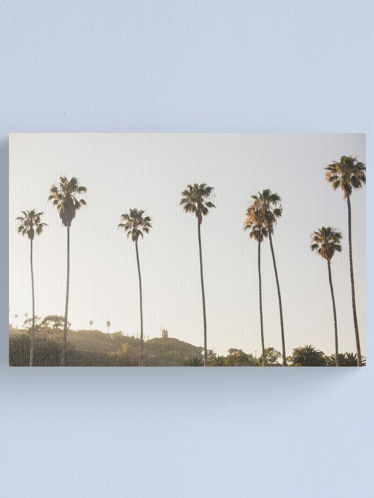 California Palm Trees Canvas Print By Sweetprovidence Redbubble