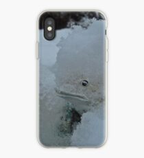 SNOW BOUND LITTLE FROG iPhone Case