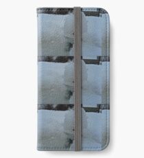 SNOW BOUND LITTLE FROG iPhone Wallet/Case/Skin