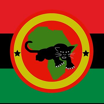 black panther party flag