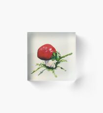 Mushroom Acrylic Block