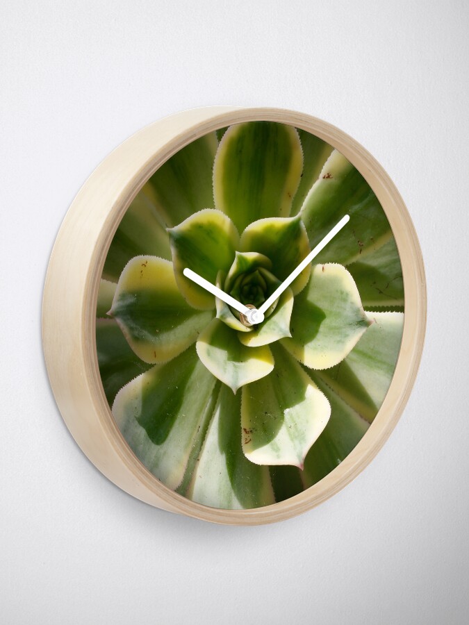 Alternate view of Succulent in the Sun Clock