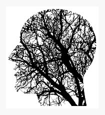 Human Nervous System As Tree Photographic Print