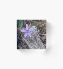 Silky Blue Orchid Acrylic Block