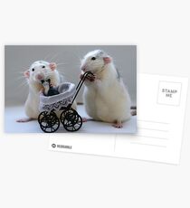 A nice day out! Postcards