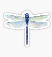 Spatterdock Dragonfly Sticker