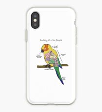Sun Conure Anatomy iPhone Case