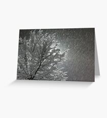 Snowy Night Lights Greeting Card