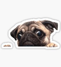 Carlino Sticker