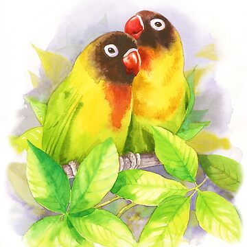 Artwork thumbnail, Masked Lovebirds by Meadowpipit