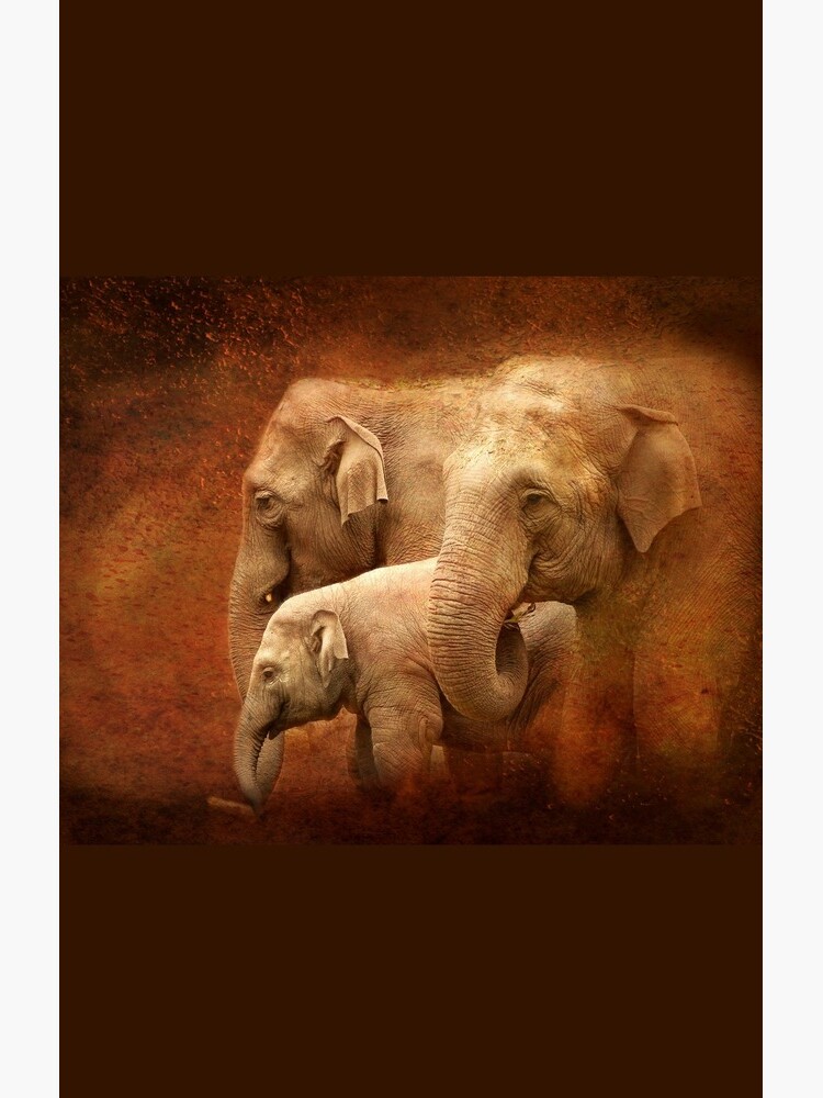 Three generations by steppeland