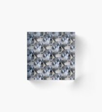 Sextant Pattern Acrylic Block
