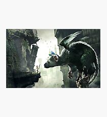 The Last Guardian Photographic Print