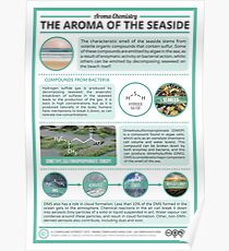 The Aroma of the Sea Poster