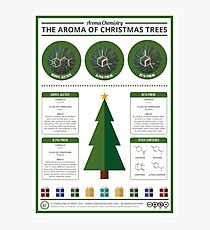 The Aroma of Christmas Trees Photographic Print