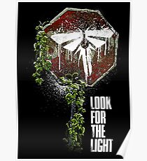 Look For The Light Poster