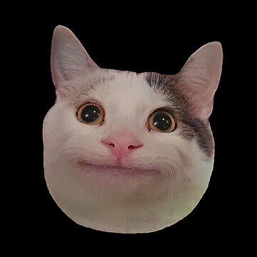 Beluga Cat Meme Emotes 