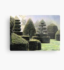 Dawn In A Topiary Garden Metal Print