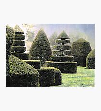 Dawn In A Topiary Garden Photographic Print