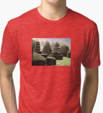 Dawn In A Topiary Garden Tri-blend T-Shirt