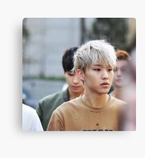 hoshi! Canvas Print