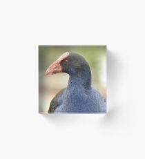 Waterfowl Acrylic Block