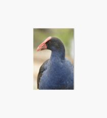 Waterfowl Art Board
