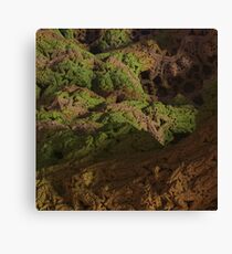 Moss Canvas Print