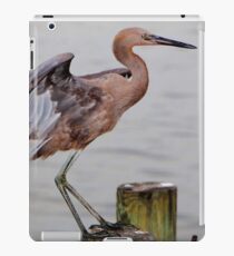 Egret Egress iPad Case/Skin