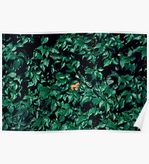 Orange horse in the bush Poster