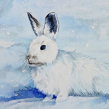 Artwork thumbnail, Snowshoe Hare by BethanyMilam
