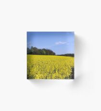 Canola Fields Acrylic Block