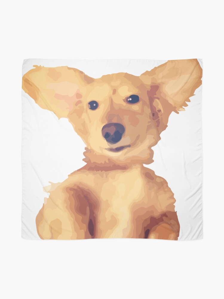 Bentley The Long Haired English Cream Dachshund Scarf By Djlaw