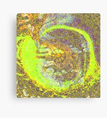 Bumble Canvas Print