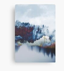 Fog Canvas Print