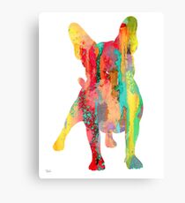 French Bulldog 9 Canvas Print