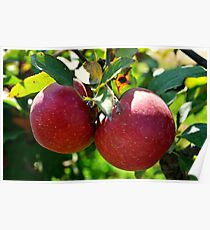 Apples, Apples, Apples Poster