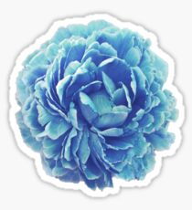 Cinderella Blue Flower Sticker