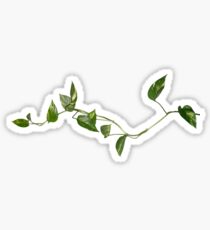 PLANT Sticker