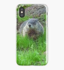 Chuckster iPhone Case