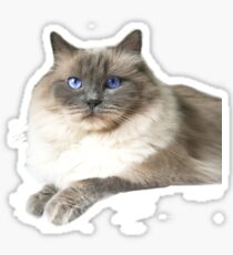 Stoffpuppe Katze Sticker