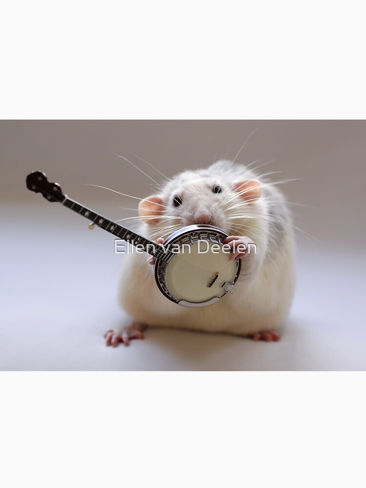 My banjo. by Ellen