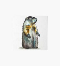 Winter Woodchuck (aka Groundhog) Art Board Print