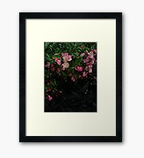 Pedals Framed Print