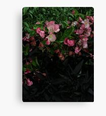 Pedals Canvas Print